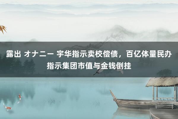 露出 オナニー 宇华指示卖校偿债，百亿体量民办指示集团市值与金钱倒挂