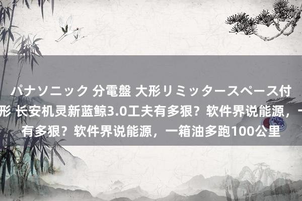 パナソニック 分電盤 大形リミッタースペース付 露出・半埋込両用形 长安机灵新蓝鲸3.0工夫有多狠？软件界说能源，一箱油多跑100公里