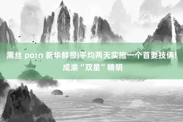 黑丝 porn 新华鲜报|平均两天实施一个首要技俩! 成渝“双星”精明