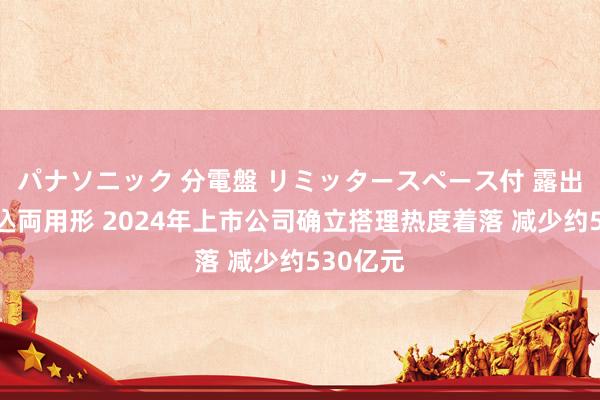 パナソニック 分電盤 リミッタースペース付 露出・半埋込両用形 2024年上市公司确立搭理热度着落 减少约530亿元