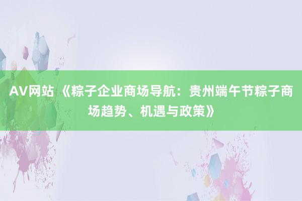 AV网站 《粽子企业商场导航：贵州端午节粽子商场趋势、机遇与政策》