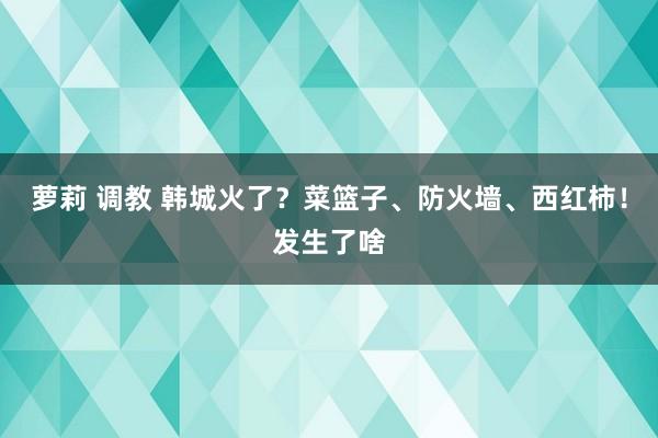 萝莉 调教 韩城火了？菜篮子、防火墙、西红柿！发生了啥