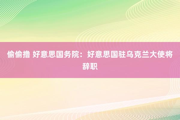 偷偷撸 好意思国务院：好意思国驻乌克兰大使将辞职