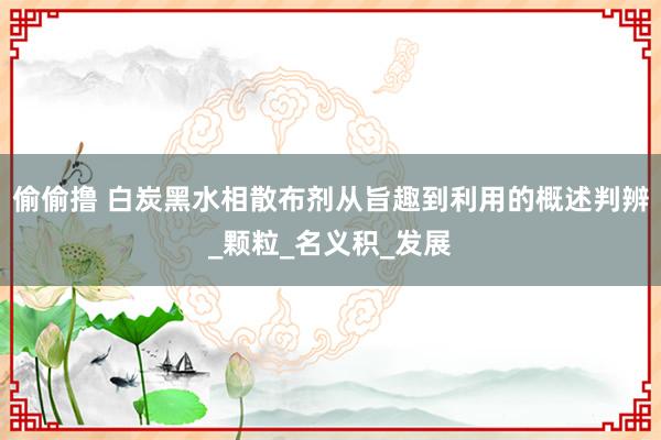 偷偷撸 白炭黑水相散布剂从旨趣到利用的概述判辨_颗粒_名义积_发展