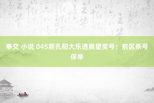 拳交 小说 045期孔阳大乐透展望奖号：前区杀号保举
